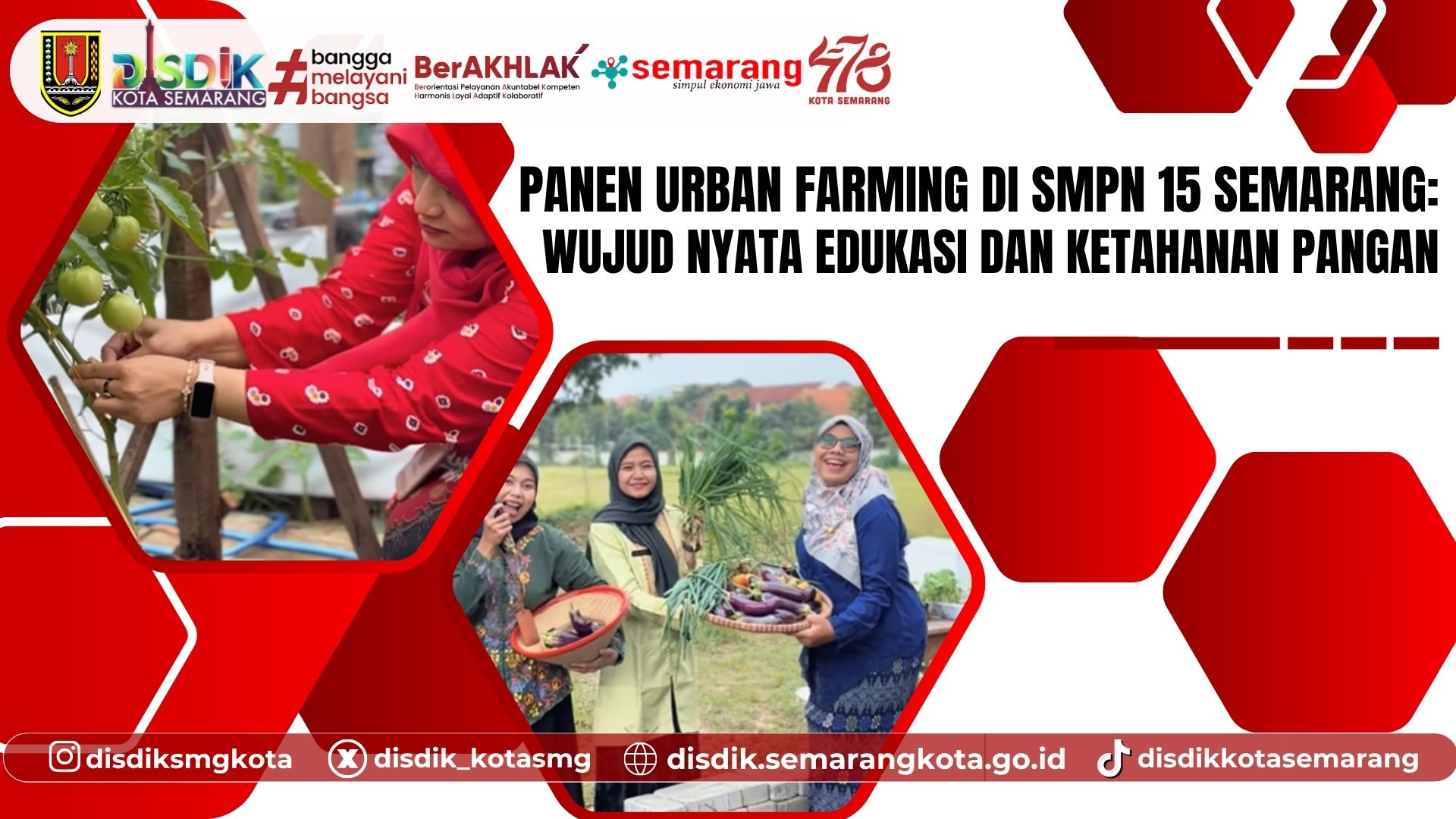 Panen Urban Farming di SMPN 15 Semarang: Wujud Nyata Edukasi dan Ketahanan Pangan